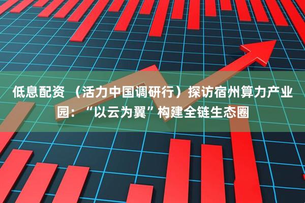 低息配资 （活力中国调研行）探访宿州算力产业园：“以云为翼”构建全链生态圈