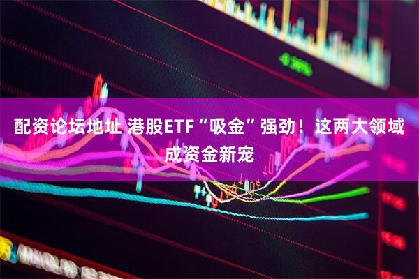 配资论坛地址 港股ETF“吸金”强劲！这两大领域成资金新宠